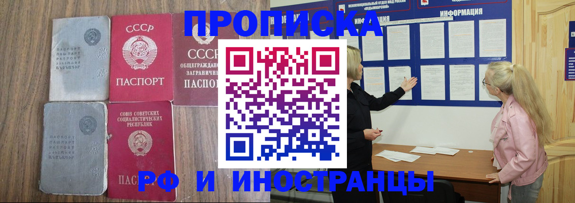 прописка для школы в Ивантеевке